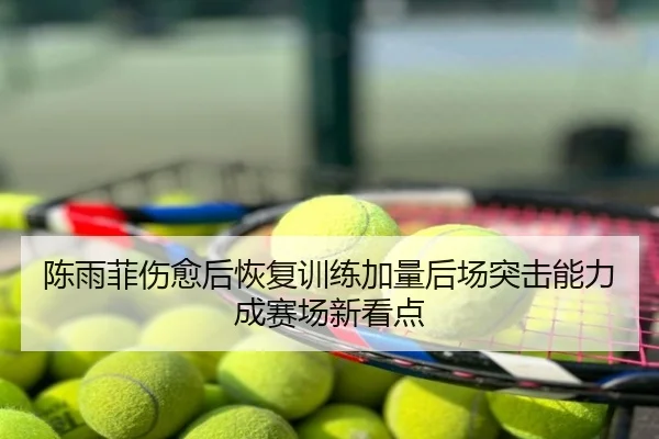 陈雨菲伤愈后恢复训练加量后场突击能力成赛场新看点